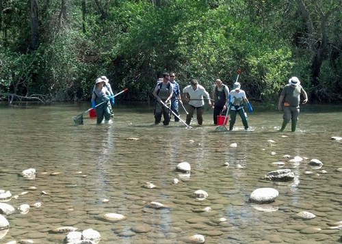 Imatge de la notícia Més d'11.200 persones participen en activitats naturalistes a la Mitjana durant el 2013