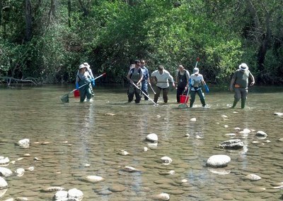 Més d'11.200 persones participen en activitats naturalistes a la Mitjana durant el 2013