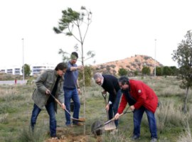 Imatge de la notícia Més de 150 ciutadans col·laboren en la plantada popular per crear el nou bosc urbà al voltant del Museu del Clima i de la Ciència al Turó de Gardeny