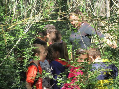 Imatge de la notícia Més de 5.000 participants en el programa d'educació ambiental Lleida en Viu