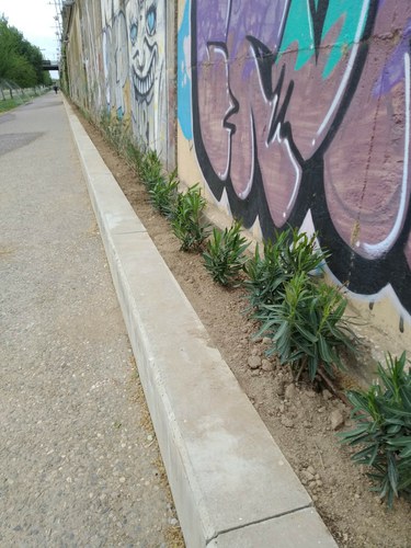 Imatge de la notícia Millora paisatgística i ambiental del tram urbà del marge dret del riu Segre