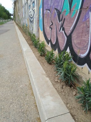 Millora paisatgística i ambiental del tram urbà del marge dret del riu Segre