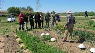 Mostra de llavors i de planter de productes locals als horts de Rufea