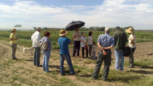 Imatge de la notícia Visita al Viver d'Agricultors de Rufea per conèixer la producció d'hortalisses ecològiques