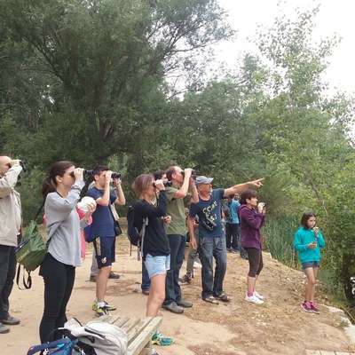 El coneixement del medi natural local, l'observació d'ocells i la pràctica d'anglès s'uneixen a les Ecoactivitats de la Regidoria de Medi Ambient i Horta de la Paeria