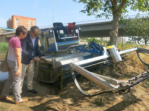 Imatge de la notícia La Paeria neteja les plantes aquàtiques de la llera del riu Segre