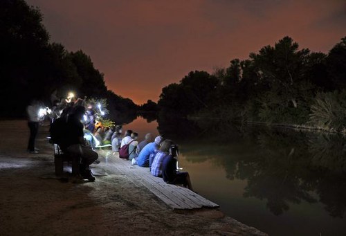 Imatge de la notícia 6a Nits dels ratpenats al parc de la Mitjana