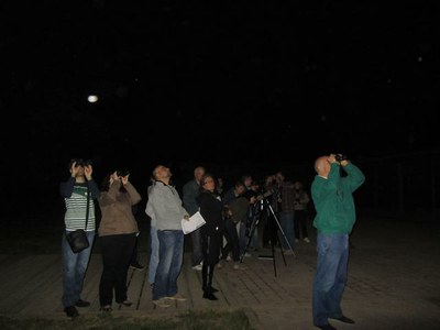 Nit d'estels al parc de la Mitjana de Lleida