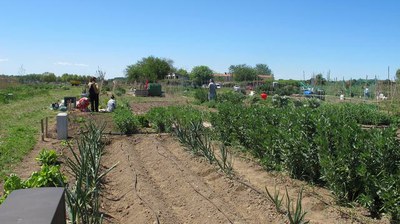 Nou termini per sol·licitar un Hort Familiar de Rufea