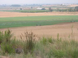 Imatge de la notícia Paeria i Globalleida formen i assessoren els emprenedors de l’Horta de Lleida amb l’objectiu de fer créixer els seus projectes empresarials