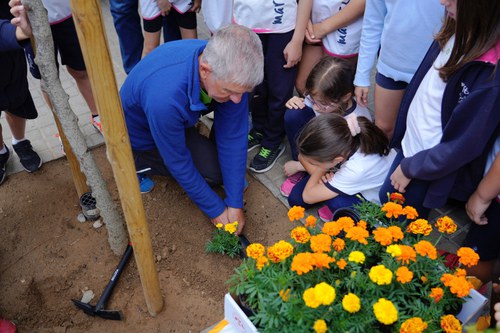 Imatge de la notícia Plantació d’escocells a l’av. de Blondel amb alumnes dels Maristes