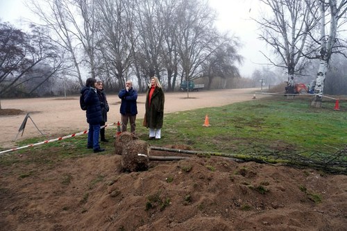 Imatge de la notícia Plantació d’una cinquantena d’arbres per ombrejar l’accés al parc de la Mitjana