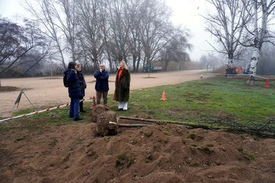 Plantació d’una cinquantena d’arbres per ombrejar l’accés al parc de la Mitjana