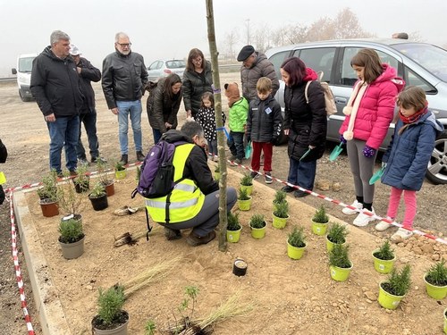 Imatge de la notícia Plantació de 50 arbres i més de 700 arbusts al costat del Mirador del Secà