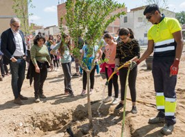 Imatge de la notícia Plantació popular dels arbres del nou bosc urbà de Magraners 