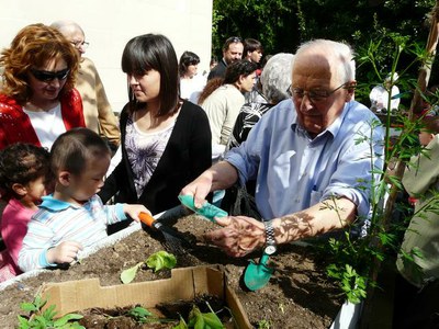 Plantada d’arbres intergeneracional a la Residència Llar Sant Josep