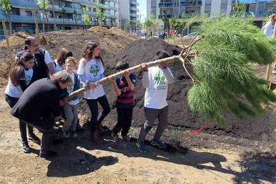 Plantada popular d'arbres al bosc urbà de Cappont