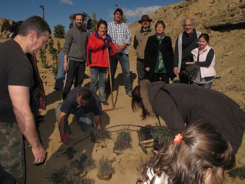 Imatge de la notícia Plantada popular d'arbres i plantes al camí del Castell del Rei