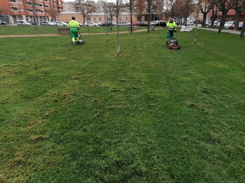 Imatge de la notícia Posada a punt i millora de les gespes de Lleida 