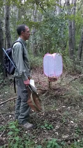 Imatge de la notícia Primer any de Bioblitz a Lleida