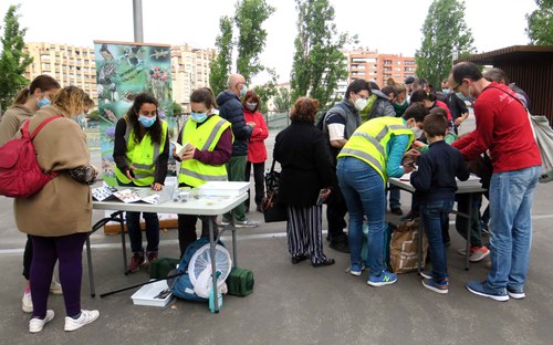 Imatge de la notícia Punt d’observació de la biodiversitat urbana per a identificar papallones i insectes 