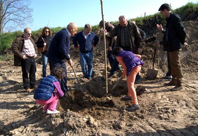 Quatre arbres més per al Xoperal del Tòfol a l'Horta de Lleida