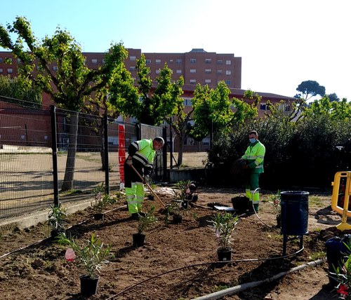 Imatge de la notícia S’adapta la nova entrada de l’Institut Torre Vicens per evitar aglomeracions 