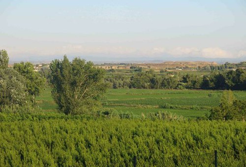 Imatge de la notícia S'obre el termini per presentar candidatures als Premis Horta de Lleida