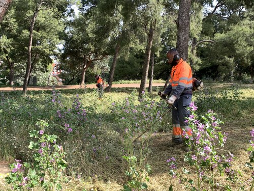 Imatge de la notícia Seguiment de la Paeria a l’empresa de jardineria pel manteniment de les zones verdes 