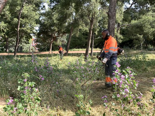 Imatge de la notícia Seguiment de la Paeria a l’empresa de jardineria pel manteniment de les zones verdes 