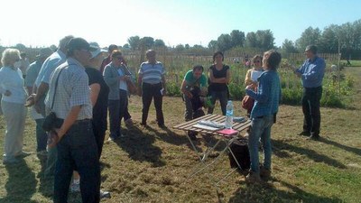 Taller als Horts Familiars de Rufea