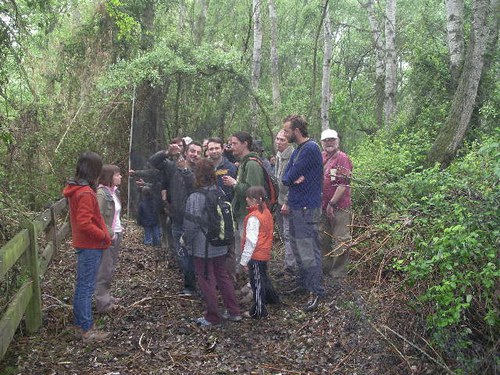 Imatge de la notícia Taller d'anellament d'ocells al Parc de la Mitjana