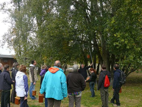 Imatge de la notícia Taller de construcció de caixes niu i menjadores per a ocells a la Mitjana