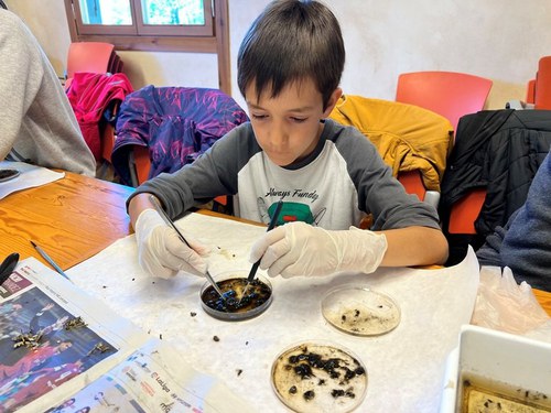 Imatge de la notícia Tallers per a petits naturalistes al Parc de la Mitjana