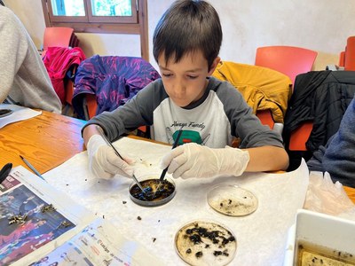 Tallers per a petits naturalistes al Parc de la Mitjana