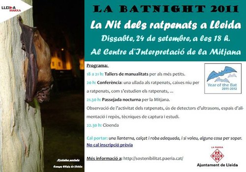 Imatge de la notícia Torna "La Nit dels Ratpenats" a la Mitjana