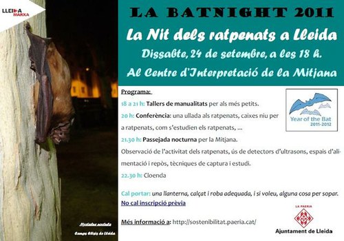 Imatge de la notícia Torna "La Nit dels Ratpenats" a la Mitjana