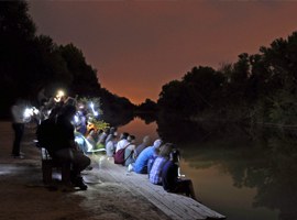 Imatge de la notícia Torna la Nit dels Ratpenats aquest dissabte a la Mitjana