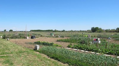 Tres nous professionals s'incorporen al Viver d'Agricultors de Rufea