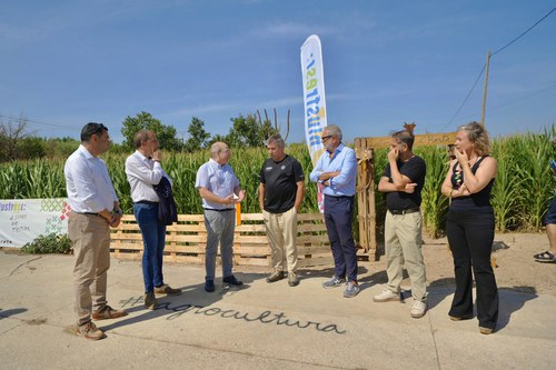 Imatge de la notícia Tret de sortida a la sisena edició del Laberint de Panís de l’Horta de Lleida