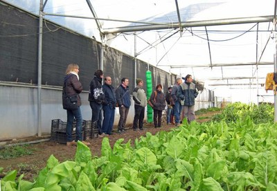 Un grup de professionals agrícoles visiten l'Horta de Lleida