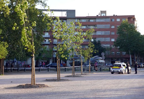 Imatge de la notícia Un incendi ha cremat aquesta tarda 5,4 hectàrees de vegetació al parc municipal de La Mitjana de Lleida. S’estima que el foc s’ha iniciat a la zona pròxima a l’embarcador i el vent ha fet saltar les flames cap al Camí de Grenyana. Fins a onze dotacions de