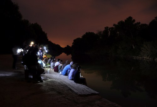 Imatge de la notícia Una altra ‘Nit de Ratpenats’ al Parc de la Mitjana