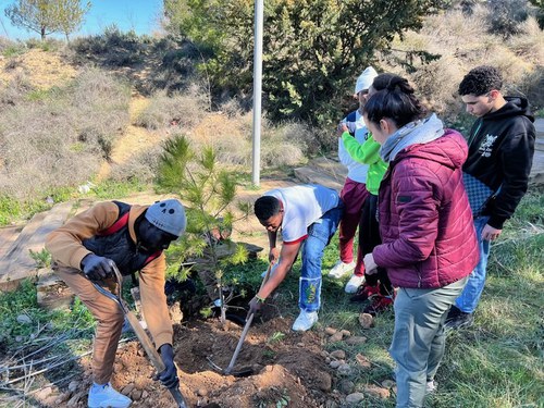 Imatge de la notícia Una seixantena de persones planten dotze pins al Turó de Gardeny