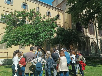 Una trentena de persones descobreixen els arbres de la ciutat i la contribució que fan a la biodiversitat