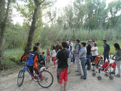 Una trentena de persones gaudeixen del taller "A la Mitjana també es fa fosc”