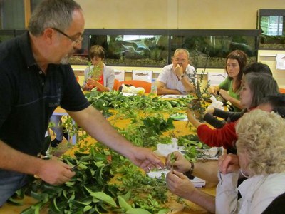 Una vintena de persones aprenen a reproduir plantes a casa en un taller especial