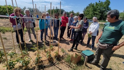 Imatge de la notícia Una vintena de persones descobreixen la importància de potenciar la biodiversitat a l’hort