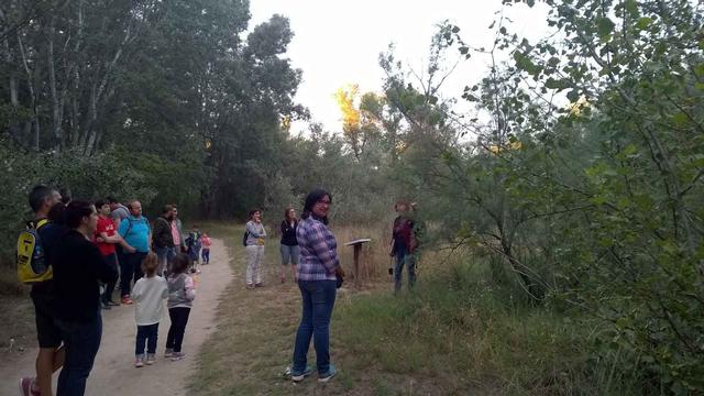 Una vintena de persones descobreixen la Mitjana de Nit