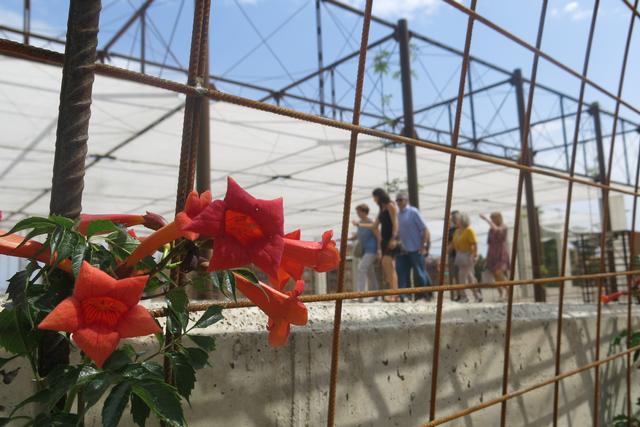 Una vintena de persones visiten el Museu del Clima i la Ciència de Lleida i el llegat Oró en la primera visita guiada